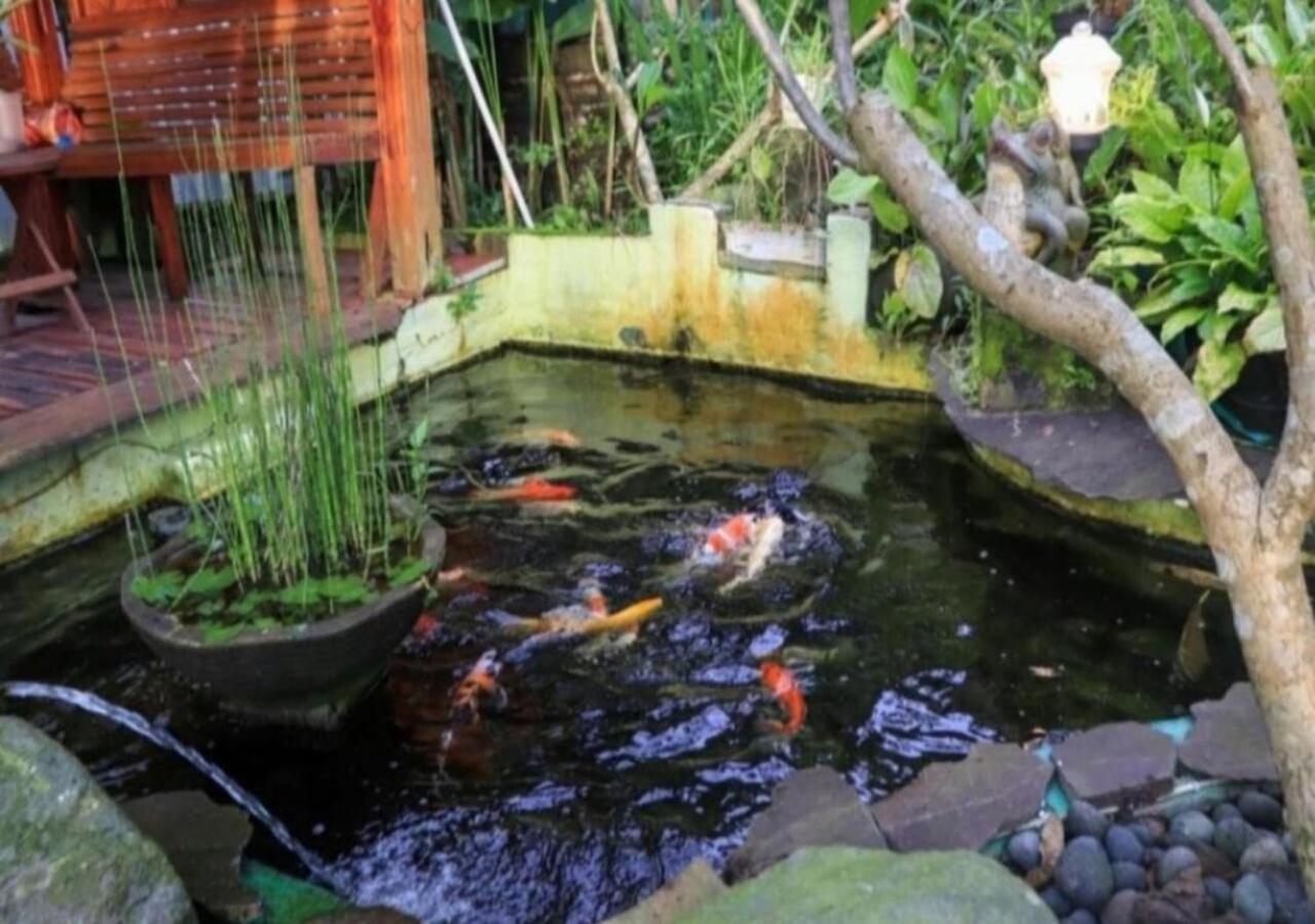 Bujak Permai Villa Matahari Lombok Ntb Praya Εξωτερικό φωτογραφία