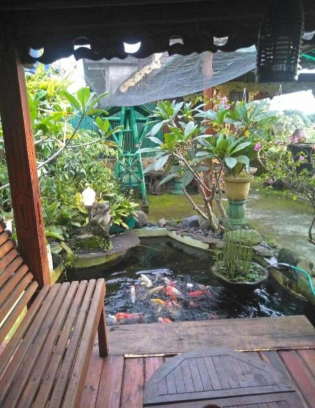 Bujak Permai Villa Matahari Lombok Ntb Praya Εξωτερικό φωτογραφία